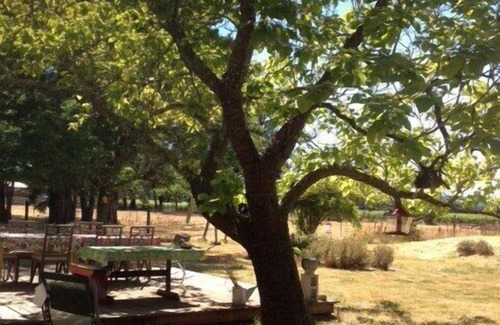 Geyserville House | Safe Retreat: Bicyclists, Birders, Wine Lovers, River Revelers Welcome!