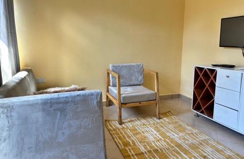 Sinza Apartment | Safi full equipped house