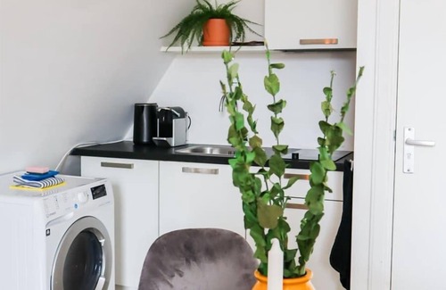 Oude Westen Apartment | Saftliving Summary: D