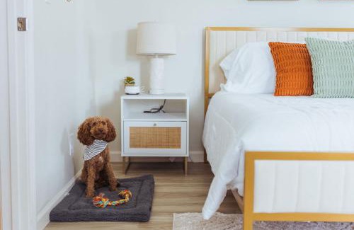 Johnson City Apartment | Sage Haven #4
