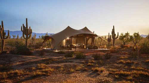 Marana Other | SaguaroGlamp