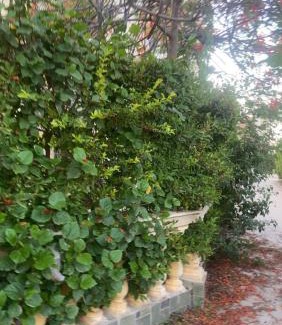 Borg el Arab Apartment | Sahel