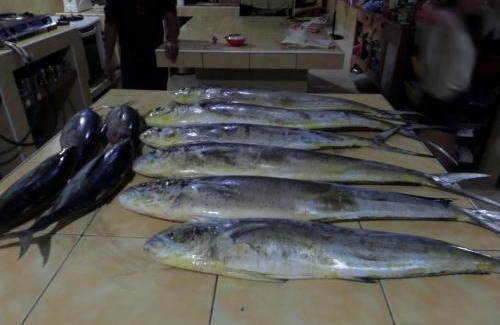 San Isidro House | Sailfishbay Surf And Big Game Fishing Lodge