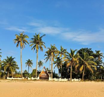 Cherthala Bed & Breakfast | Sailor Homes