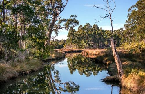 South Bruny House | Saintys Creek Cottage