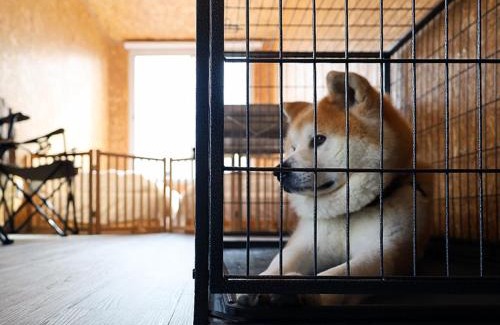 Sakata Hotel | SAKATANTO Container Hotel CAMPS - Vacation STAY 31777v