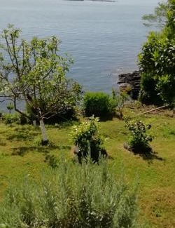 Persembe Apartment | Sakin ev Cittaslow Sea Inn