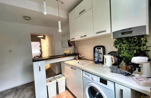 Timisoara Apartment | Sal Apart