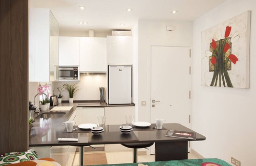 Goya Apartment | Salamanca Confort IV apartment in Madrid