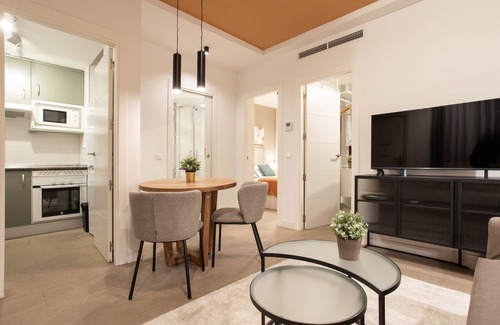Castellana Apartment | Salamanca V apartment in Madrid