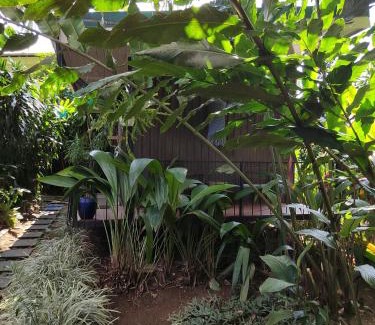 Jimenez House | Salamandra Costa Rica