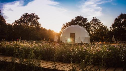 Gniewino Other | Salinko Glamping