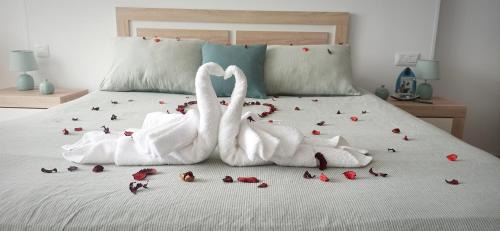 Tacoronte Apartment | Salitre Suite