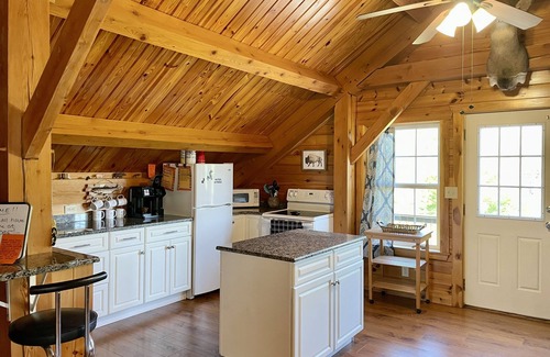 Altmar Cabin | Salmon River Waterfront Lodge w/Soothing Hot Tub