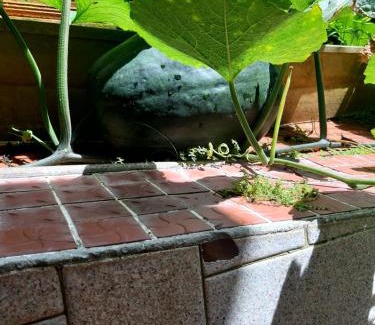 Castries Apartment | Saloma's ZionGates