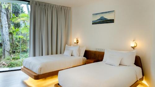 Mindo Resort | Saloya Mindo Life