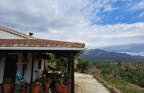 Alozaina House | Salvador