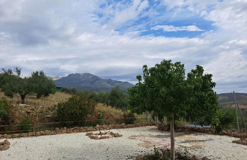 Alozaina House | Salvador