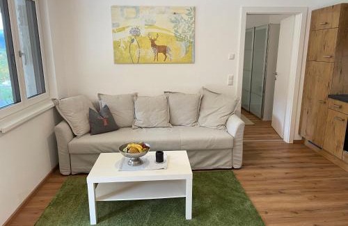 Aigen-Voglhub Apartment | Salzkammergut View