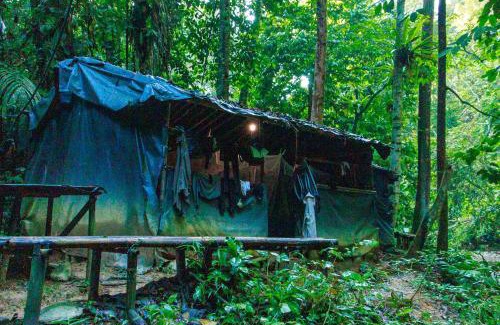 Bukit Lawang House | Sama Sama Homestay & Trekking Only Stay Here Book Trekking and Transport With Us