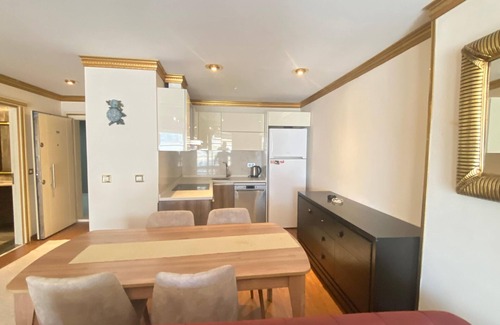 Gaziosmanpasa Apartment | Sama venice Istanbul Apartment