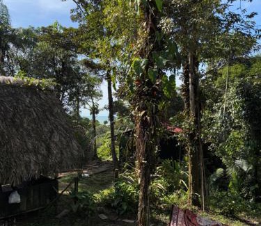 Uramba National Park Other | Samai