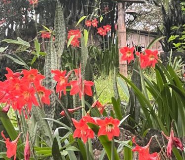 Comuna San Jose Hotel | Samai Lodge Holistic Living