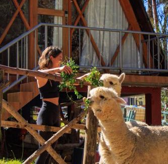 Carhuaz Cabin | Samana Lodge