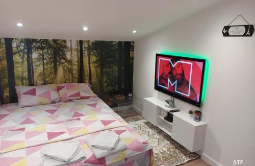 Stari Banovci Apartment | SAMITEST