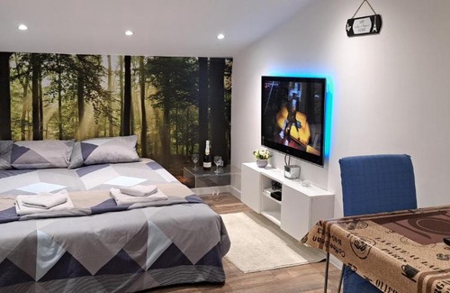 Stari Banovci Apartment | SAMITEST
