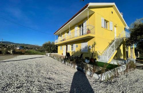 Vila Flor House | Samorinha House