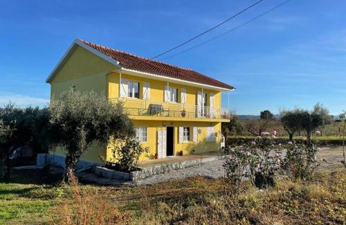 Vila Flor House | Samorinha House