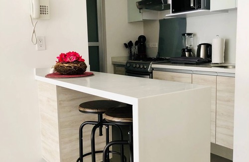 Coyoacan Apartment | San Angel New Amazing Apartment 2BR/2BA/1parking
