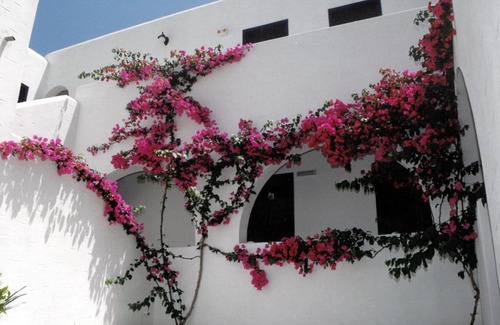 Piso Livadi Hotel | San Antonio Summer House