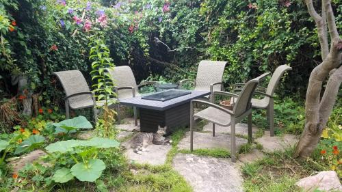 Mission District House | San Fran Zanadu - Private Garden Suite