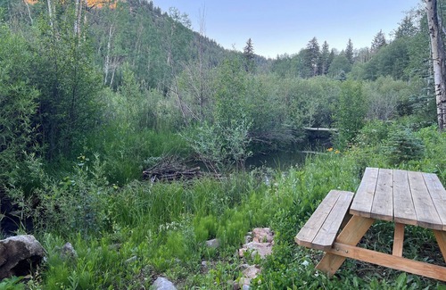 Placerville Apartment | San Juan Basecamp: Perfect Festival Retreat