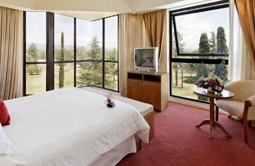 Alta Gracia Hotel | San Miguel Plaza Hotel