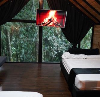 Barbosa Other | San Sebastián barbosa