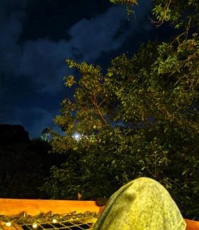 Barbosa Other | San Sebastián barbosa