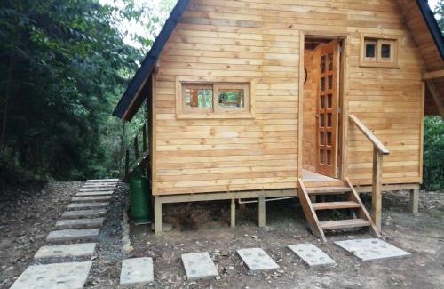 Guarne Other | Sanary