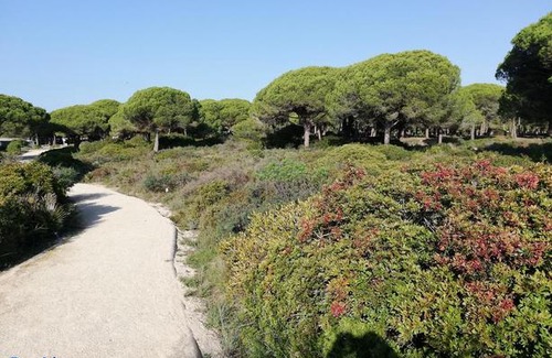 Chiclana de la Frontera Apartment | Sancti Petri Sunsets