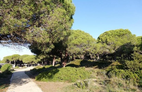 Chiclana de la Frontera Apartment | Sancti Petri Sunsets