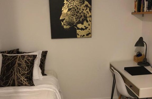 Downtown Toronto Apartment | Sanctuary in Toronto's centre