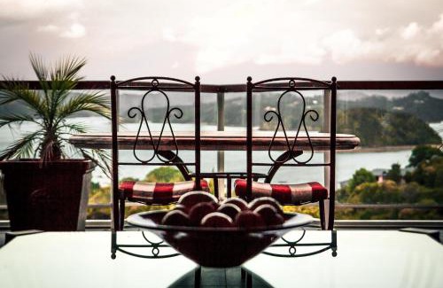 Paihia Apartment | Sanctuary Palms