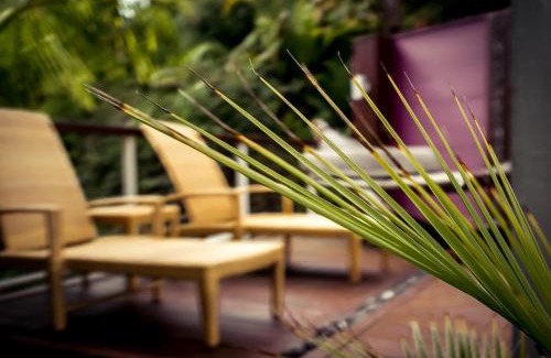 Paihia Apartment | Sanctuary Palms