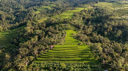 Pupuan Other | Sanda Plantation Hideaway