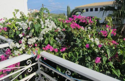 Pythagorion Apartment | Sandalis Hotel