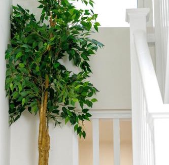Kilkenny City Centre Bed & Breakfast | Sandbury Town House
