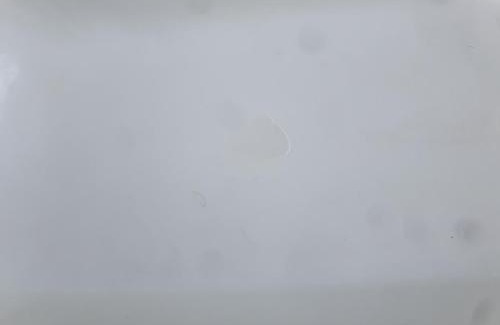 Greater Johannesburg Metropolitan Area House | Sandton Guesthouse 5 Bedrooms 6 Beds Pool Tennis Court Free WIFI