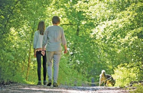 New Forest District Resort | Sandy Balls Holiday Village